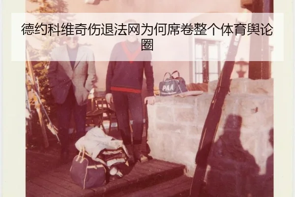 de-yue-ke-wei-qi-shang-tui-fa-wang-wei-he-xi-juan-zheng-ge-ti-yu-yu-lun-quan-2-478.jpg